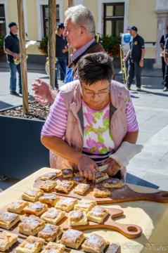 Trgatev stare trte s Saro Čopar 6